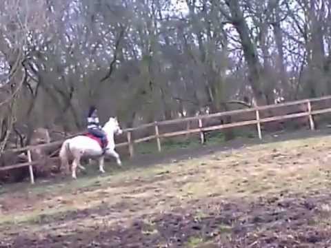 funniest-horse-fall-epic