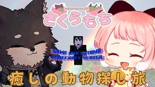 【#minecraft 】さくらもちがみたまサバでサバイバル！　さくらもちハウスの住人を探そう！！