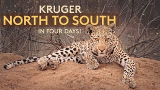 KRUGER North to South in 4 days! (4K)