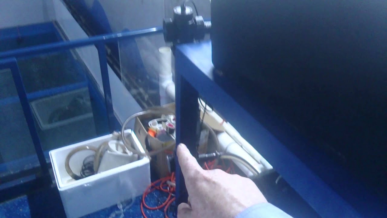 I have turned on the filters for my shark tank YouTube