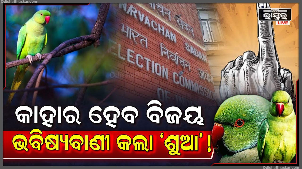 ଲୋକସଭା ନିର୍ବାଚନକୁ ନେଇ ‘ଶୁଆ’ର ଭବିଷ୍ୟବାଣୀ...ଜଣାପଡିବା ପରେ ଏବେ ଅଡୁଆରେ ଶୁଆ ମାଲିକ