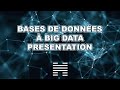 Premiers pas  des bases de donnes  big data  datum academy