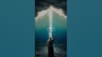 خشوع يبكي القلوب | تلاوة خاشعة للشيخ ياسر الدوسري من سورة المؤمنون