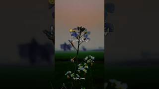 🥀apni bekar tamnaon py sharminda ho me 🥺 Deep line 💔 Whatsapp status || Urdu shayari #shorts