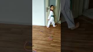 Sevinç Kardeşler Taekwondo Sporcumun Evdeki Çalısmasi