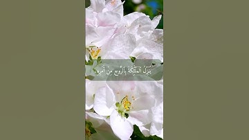 ما تيسر من سورة النحل بصوت الشيخ ماهر المعيقلي