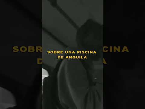 Remix Matiah Chinaski