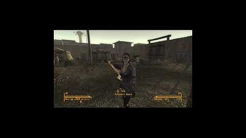 Fallout New Vegas it