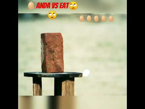 Anda vs eat kya Ande eat Ko Tod payegi #mrindianhackershorts #viralvideo