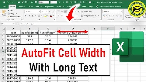 Excel Column Autofit Width 2025 UPDATE