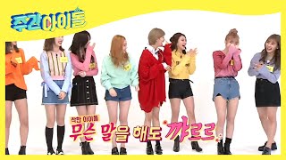 (ENG/JPN) [Weekly Idol] 웃음이 멈추지 않는 트둥이들과 도니의 첫 만남🤣 l EP.274