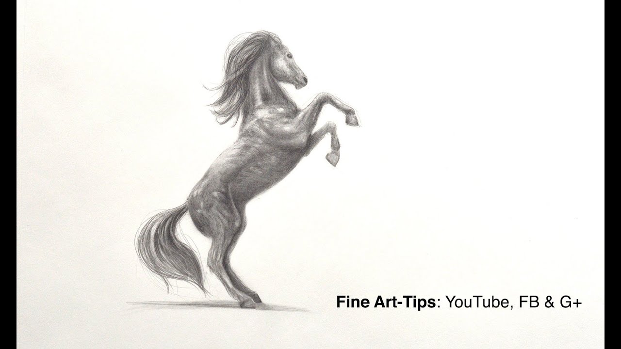 ⁣How to Draw a Prancing Horse With Pencil