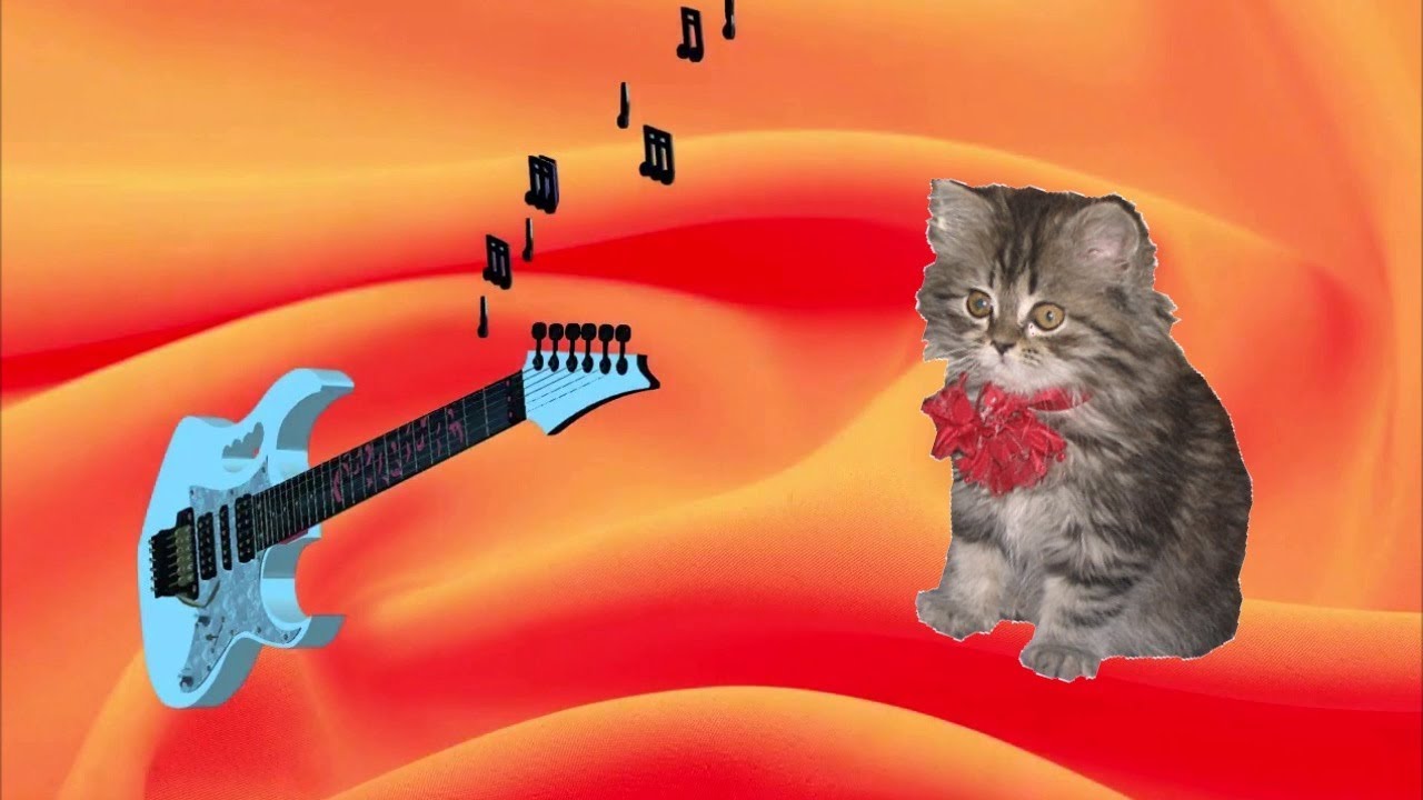 Включи видео кот песни. Гитара "котенок". Котик с гитарой. Котенок с гитарой арт. Котенок с гитарой рисунок.