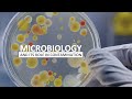 Microbiology and Contamination Control