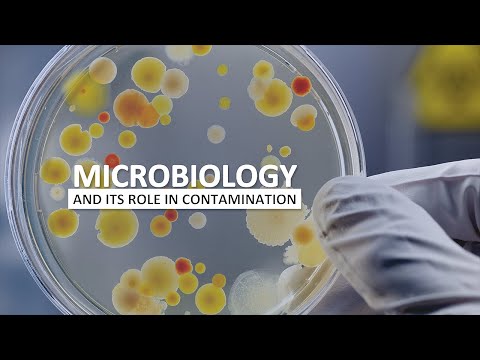 Видео: Microbiology and Contamination Control