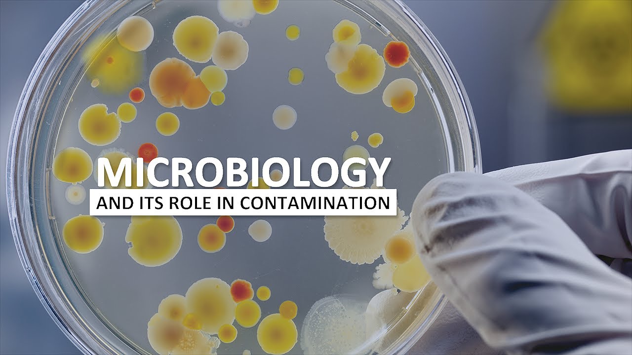 Microbiology And Contamination Control