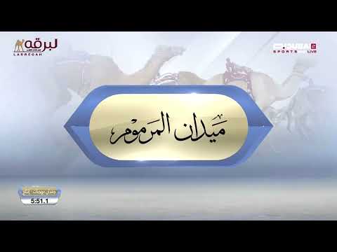 ش21 الدرع ل أحمد راشد سويدان حضيرم تأهيل المرموم السادس 26 11 2025 لقايا قعدان مهجنات إنتاج7 31 9