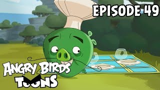 Angry Birds Toons | The Truce  S1 Ep49