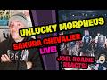 Unlucky Morpheus | SAKURA chevalier LIVE - 2026年1月24日光のあんきも公演 - Roadie Reacts