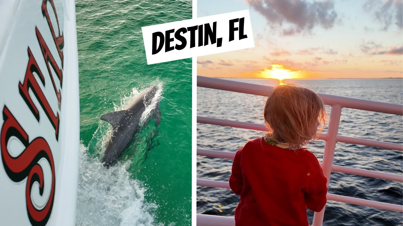 Southern Star Dolphin Cruise in Destin, Florida | Sunset Cruise