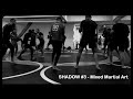 Shadow 3  mixed martial art  us metro bizot