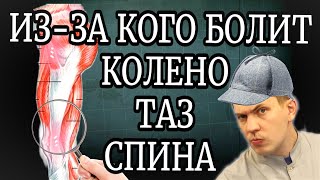 видео: Вылечи эту мышцу и БОЛЬ в КОЛЕНЯХ, области ТАЗОБЕДРЕННЫХ суставов и даже ПОЯСНИЦЫ уйдёт НАВСЕГДА  картинка: Вылечи эту мышцу и БОЛЬ в КОЛЕНЯХ, области ТАЗОБЕДРЕННЫХ суставов и даже ПОЯСНИЦЫ уйдёт НАВСЕГДА