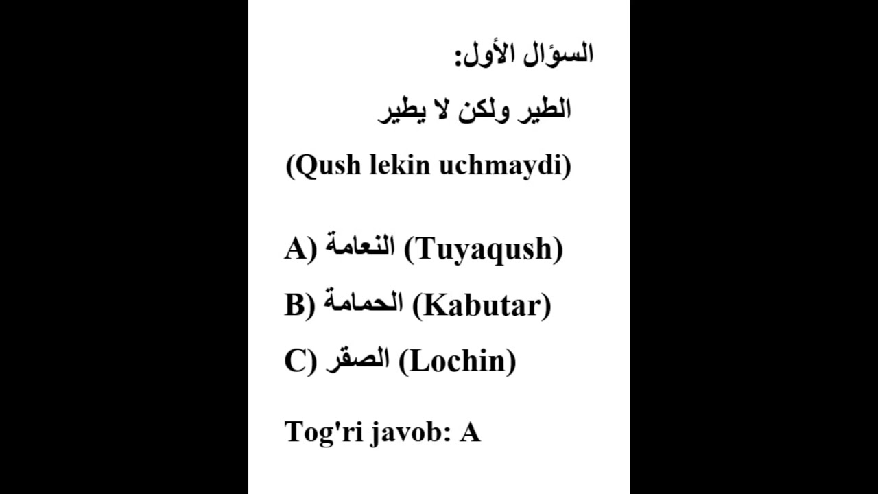 01 tarjimasi #cefr #arab tili #tinglab tushunish  #part1 #tarjima