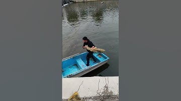 carp fishing 2023, Foldable Umbrella fishing net #fishing #fish #Cooking 10