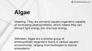 Algae Meaning