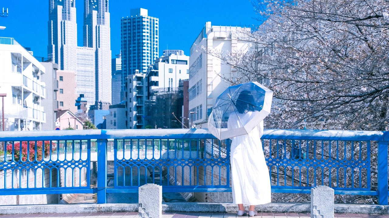 FROZEN QUALIA 6th Single CD『桜雨 / 一つ星』全曲ダイジェスト