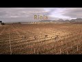 Bodegas muga  documental wine masters