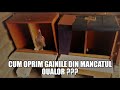 SOLUTII PENTRU GAINILE CARE MANANCA OUA !!! (CUIBAR INCLINAT,ROLL AWAY NESTING BOX )