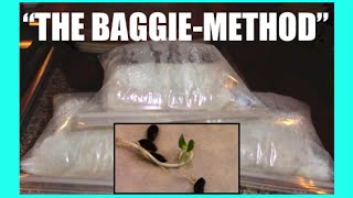The Baggie Method: Fast Seed Germination