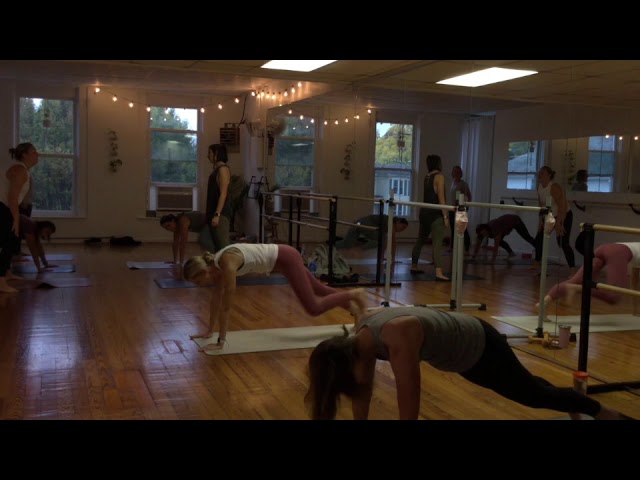 The Yoga Barre & Co