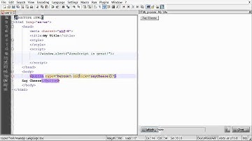 W03 Javascript Alerts and Function