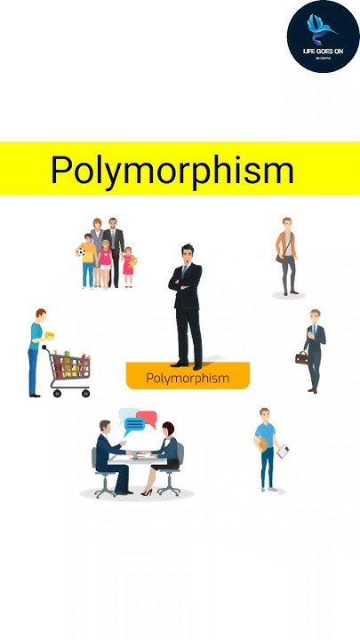 what is Polymorphism? | java concepts l java basics l Life Goes On ...