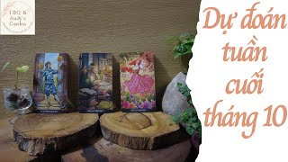 Work - Love - Fortune in the last week of October | Tarot card reading - Cookie Tarot