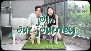 Pottily - How to maintain your real grass dog potty and maximize its lifespan. Profile