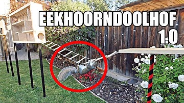 Backyard Squirrel Maze 1.0- Ninja Warrior Course