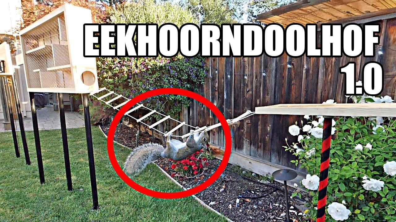 Backyard Squirrel Maze 1.0- Ninja Warrior Course