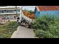 Lagu Start New Project Landfill Delete forestry in Flooded Area !  Komat'Su D20P Dozer with 5Ton truck