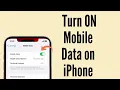 How to Turn ON Data on iPhone