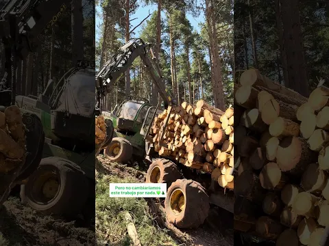 Porque amamos este trabajo? #forest #johndeere #harvester #forestry #tree #forestal #trabajo #bosque