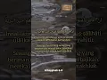 Download Lagu surah Al bayyinah ayat 6-8 merdu dan sejuk | Syekh Abdullah Matrood #shorts