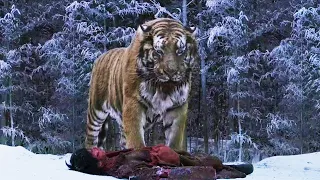 the last surviving tiger of korea the tiger an old hunters tale recap 