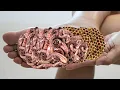Download Lagu Spa Relaxante para os Pés ASMR 👣 | Massagem Calmante e Disparadores de Formigueiro para Dormir