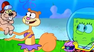 spongebob squarepants squirrel record full episodes