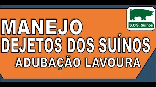 SUINOCULTURA: Manejo dos Dejetos dos Suínos