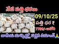 Download Lagu మార్కెట్లో పత్తి ధరలు 09/10/2025 today cotton price /Telangana cotton rate /cotton price 