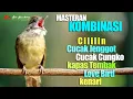 Download Lagu KOMBINASI MASTERAN LENGKAP TERPOPULER